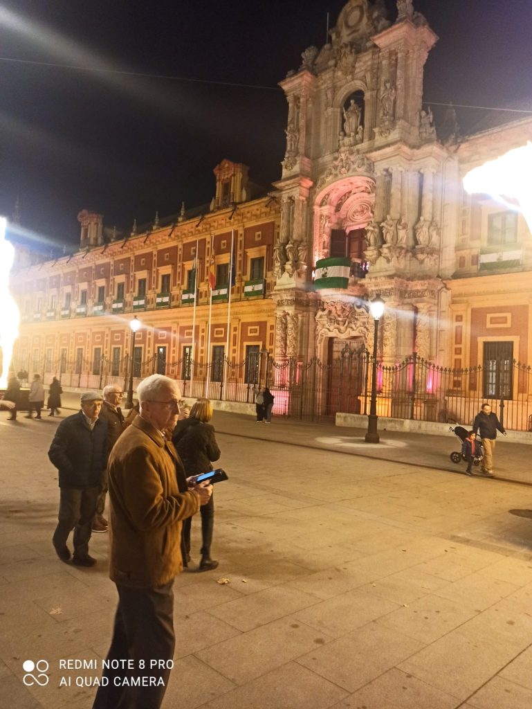 palacio de San Telmo